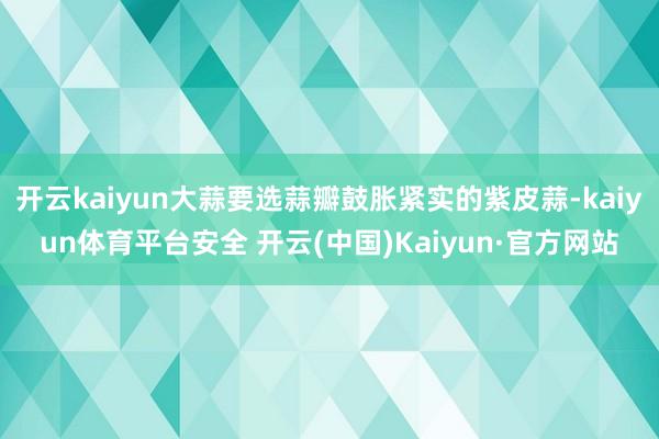 开云kaiyun大蒜要选蒜瓣鼓胀紧实的紫皮蒜-kaiyun体育平台安全 开云(中国)Kaiyun·官方网站