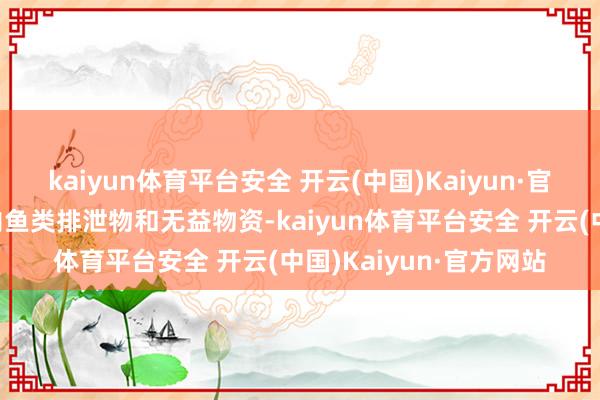 kaiyun体育平台安全 开云(中国)Kaiyun·官方网站加快领会鱼缸内鱼类排泄物和无益物资-kaiyun体育平台安全 开云(中国)Kaiyun·官方网站