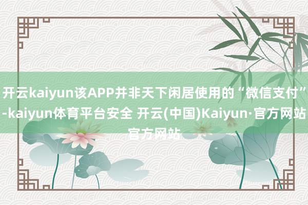 开云kaiyun该APP并非天下闲居使用的“微信支付”-kaiyun体育平台安全 开云(中国)Kaiyun·官方网站