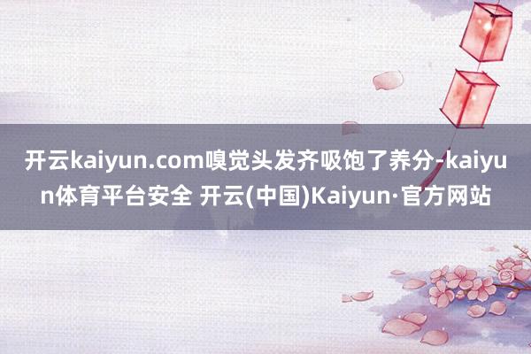 开云kaiyun.com嗅觉头发齐吸饱了养分-kaiyun体育平台安全 开云(中国)Kaiyun·官方网站