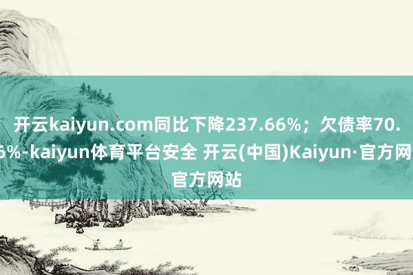 开云kaiyun.com同比下降237.66%；欠债率70.16%-kaiyun体育平台安全 开云(中国)Kaiyun·官方网站