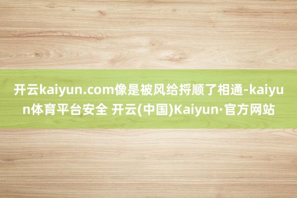 开云kaiyun.com像是被风给捋顺了相通-kaiyun体育平台安全 开云(中国)Kaiyun·官方网站