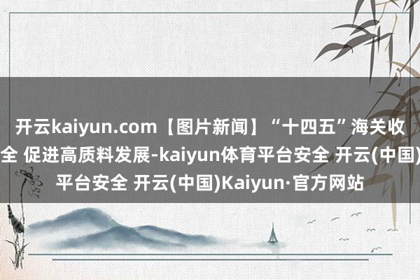 开云kaiyun.com【图片新闻】“十四五”海关收获单：看护国门安全 促进高质料发展-kaiyun体育平台安全 开云(中国)Kaiyun·官方网站
