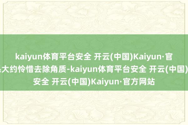 kaiyun体育平台安全 开云(中国)Kaiyun·官方网站密集的刷毛大约怜惜去除角质-kaiyun体育平台安全 开云(中国)Kaiyun·官方网站